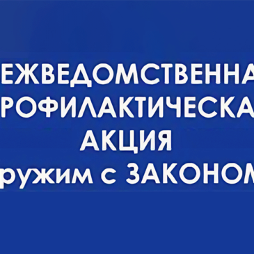 Акция «Дружим с законом!»