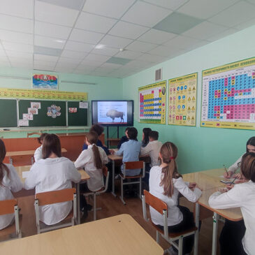 XV педагогический марафон                День классного руководителя