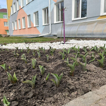 «Школьный субботник: общее дело»